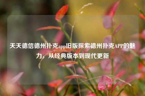 天天德信德州扑克app旧版探索德州扑克APP的魅力，从经典版本到现代更新