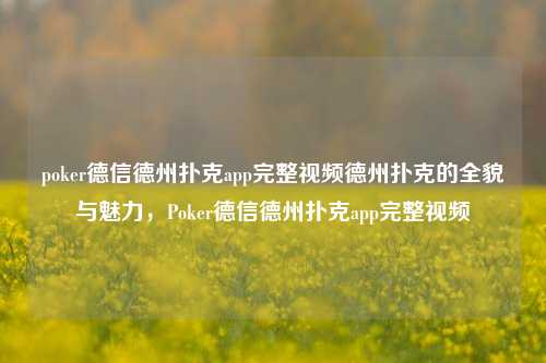 poker德信德州扑克app完整视频德州扑克的全貌与魅力，Poker德信德州扑克app完整视频