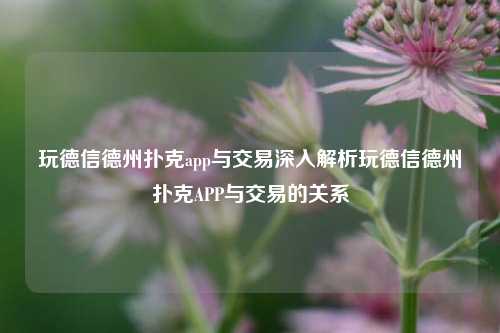 玩德信德州扑克app与交易深入解析玩德信德州扑克APP与交易的关系