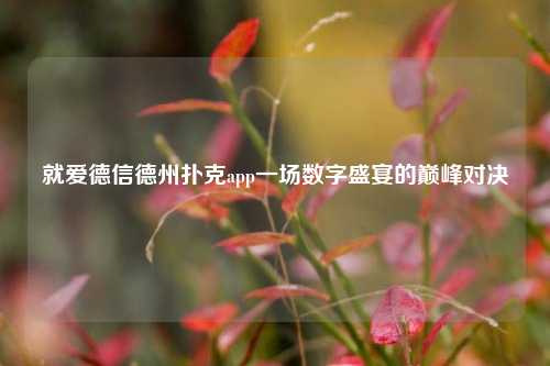 就爱德信德州扑克app一场数字盛宴的巅峰对决