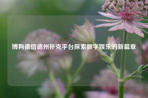 博狗德信德州扑克平台探索数字娱乐的新篇章