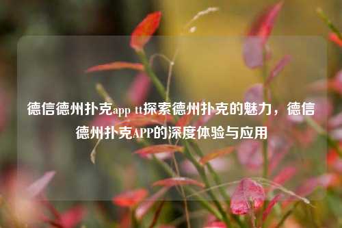 德信德州扑克app tt探索德州扑克的魅力，德信德州扑克APP的深度体验与应用