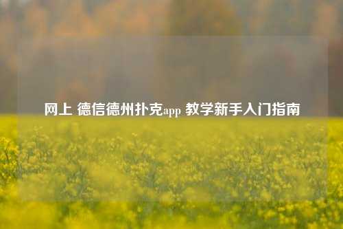 网上 德信德州扑克app 教学新手入门指南