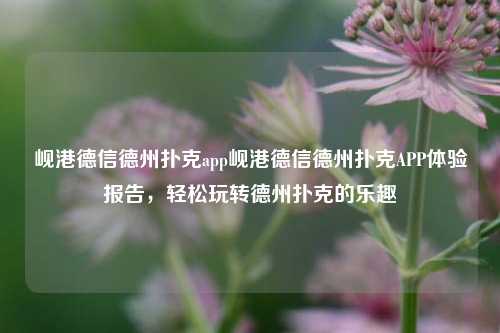 岘港德信德州扑克app岘港德信德州扑克APP体验报告，轻松玩转德州扑克的乐趣
