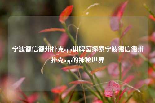 宁波德信德州扑克app棋牌室探索宁波德信德州扑克app的神秘世界