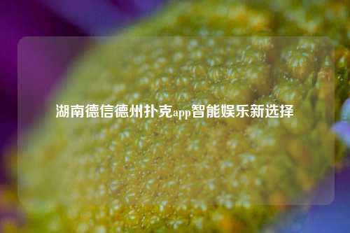 湖南德信德州扑克app智能娱乐新选择