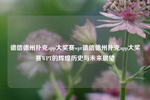 德信德州扑克app大奖赛wpt德信德州扑克app大奖赛WPT的辉煌历史与未来展望