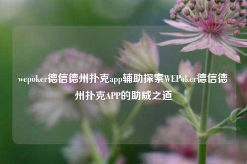 wepoker德信德州扑克app辅助探索WEPoker德信德州扑克APP的助威之道