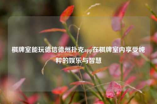 棋牌室能玩德信德州扑克app在棋牌室内享受纯粹的娱乐与智慧