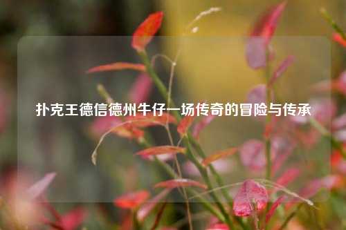 扑克王德信德州牛仔一场传奇的冒险与传承