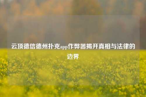 云顶德信德州扑克app作弊器揭开真相与法律的边界
