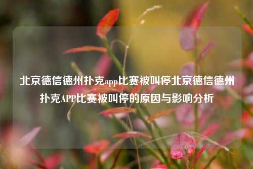 北京德信德州扑克app比赛被叫停北京德信德州扑克APP比赛被叫停的原因与影响分析