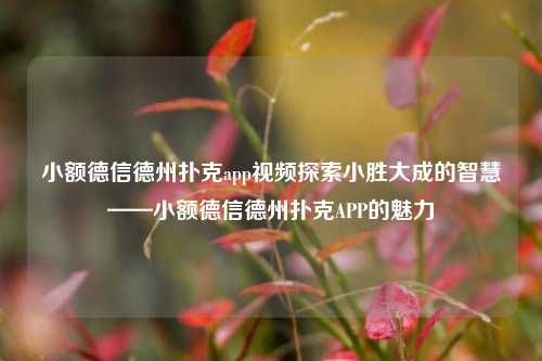 小额德信德州扑克app视频探索小胜大成的智慧——小额德信德州扑克APP的魅力