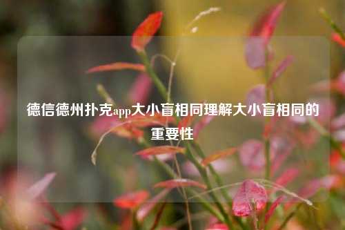 德信德州扑克app大小盲相同理解大小盲相同的重要性