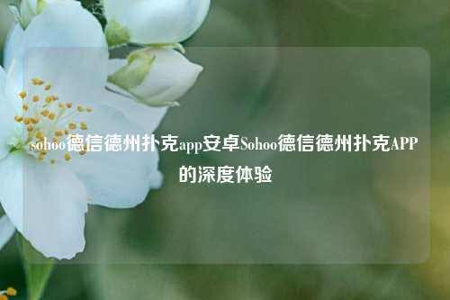 sohoo德信德州扑克app安卓Sohoo德信德州扑克APP的深度体验