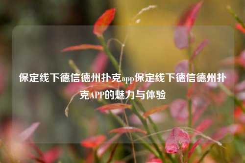保定线下德信德州扑克app保定线下德信德州扑克APP的魅力与体验