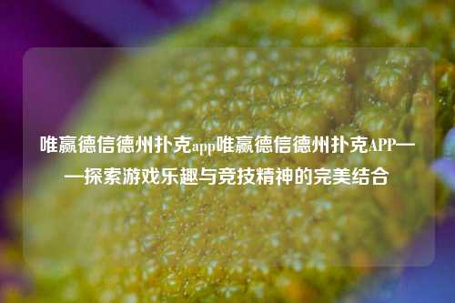 唯赢德信德州扑克app唯赢德信德州扑克APP——探索游戏乐趣与竞技精神的完美结合