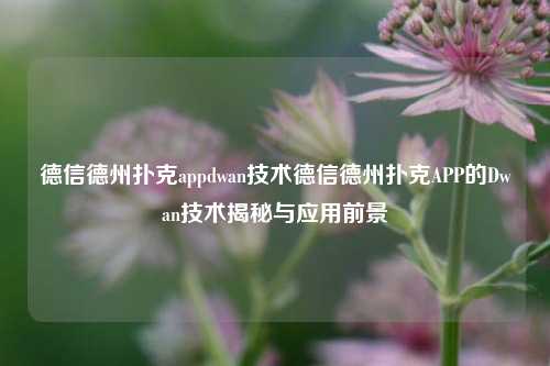 德信德州扑克appdwan技术德信德州扑克APP的Dwan技术揭秘与应用前景