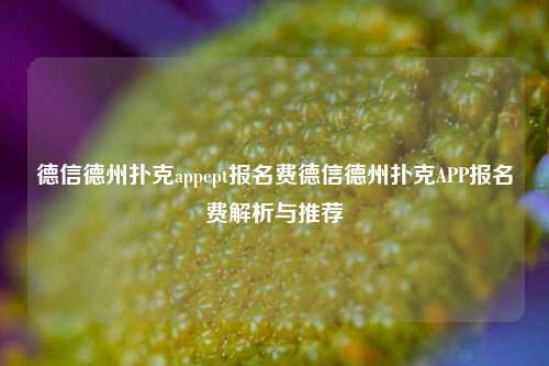 德信德州扑克appept报名费德信德州扑克APP报名费解析与推荐