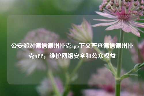 公安部对德信德州扑克app下文严查德信德州扑克APP，维护网络安全和公众权益