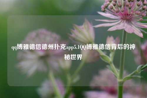 qq博雅德信德州扑克app5.1QQ博雅德信背后的神秘世界