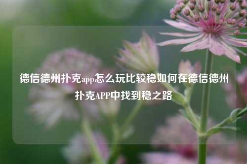 德信德州扑克app怎么玩比较稳如何在德信德州扑克APP中找到稳之路