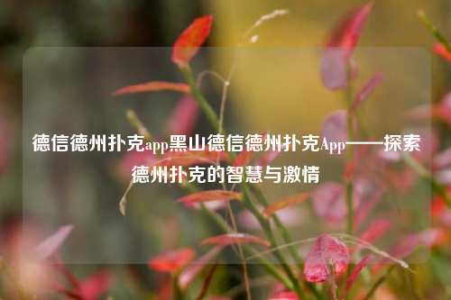 德信德州扑克app黑山德信德州扑克App——探索德州扑克的智慧与激情