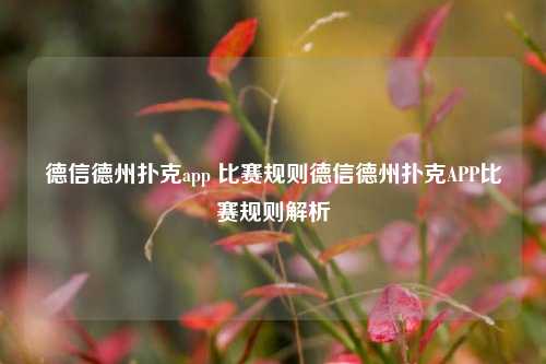 德信德州扑克app 比赛规则德信德州扑克APP比赛规则解析