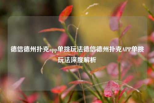 德信德州扑克app单挑玩法德信德州扑克APP单挑玩法深度解析