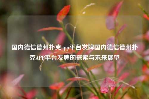 国内德信德州扑克app平台发牌国内德信德州扑克APP平台发牌的探索与未来展望