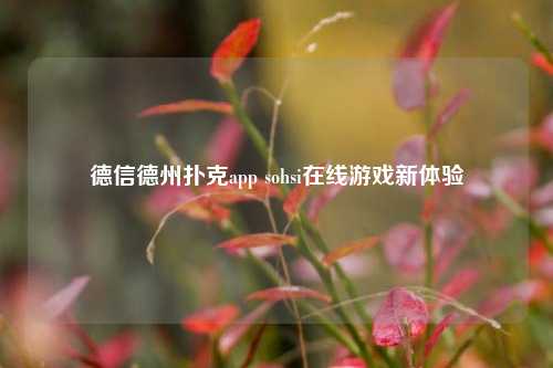 德信德州扑克app sohsi在线游戏新体验