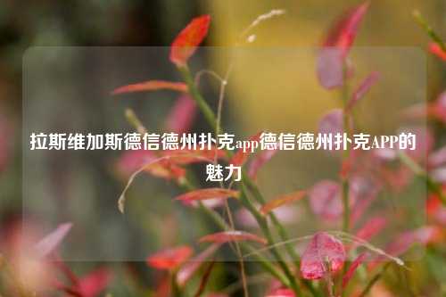 拉斯维加斯德信德州扑克app德信德州扑克APP的魅力