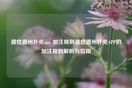 德信德州扑克app 加注规则德信德州扑克APP的加注规则解析与指南