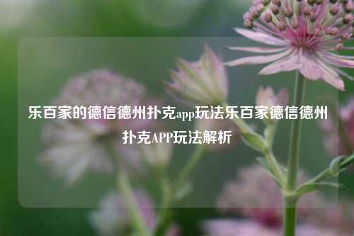 乐百家的德信德州扑克app玩法乐百家德信德州扑克APP玩法解析