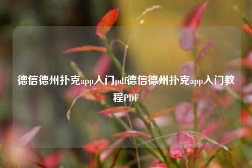德信德州扑克app入门pdf德信德州扑克app入门教程PDF