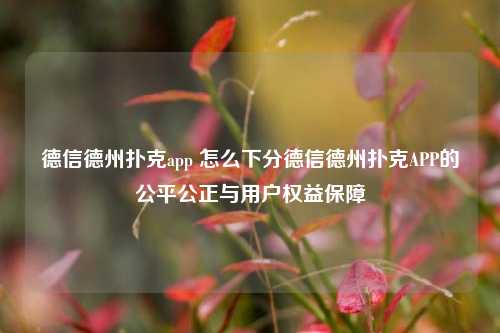 德信德州扑克app 怎么下分德信德州扑克APP的公平公正与用户权益保障