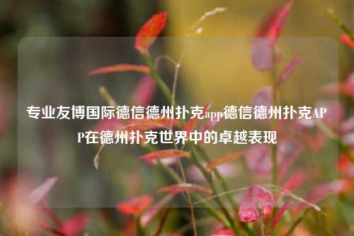 专业友博国际德信德州扑克app德信德州扑克APP在德州扑克世界中的卓越表现