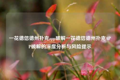 一花德信德州扑克app破解一花德信德州扑克APP破解的深度分析与风险提示