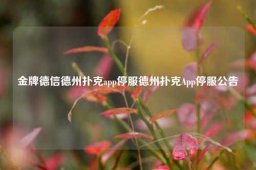 金牌德信德州扑克app停服德州扑克App停服公告