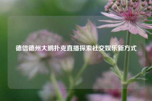 德信德州大鹏扑克直播探索社交娱乐新方式