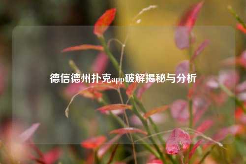 德信德州扑克app破解揭秘与分析