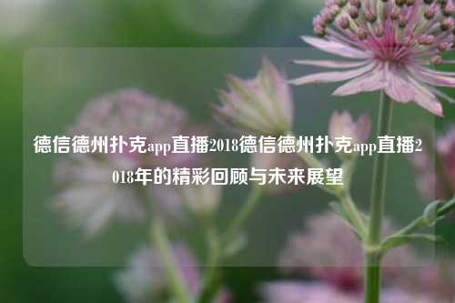 德信德州扑克app直播2018德信德州扑克app直播2018年的精彩回顾与未来展望
