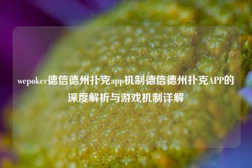 wepoker德信德州扑克app机制德信德州扑克APP的深度解析与游戏机制详解