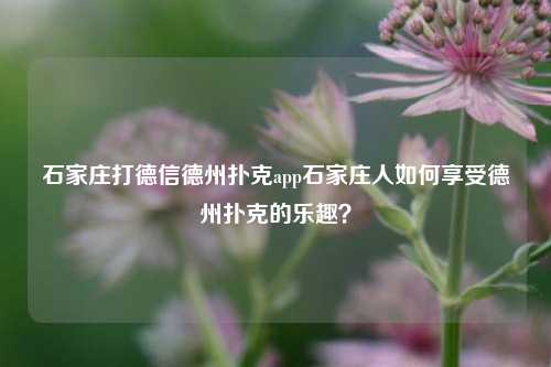 石家庄打德信德州扑克app石家庄人如何享受德州扑克的乐趣？