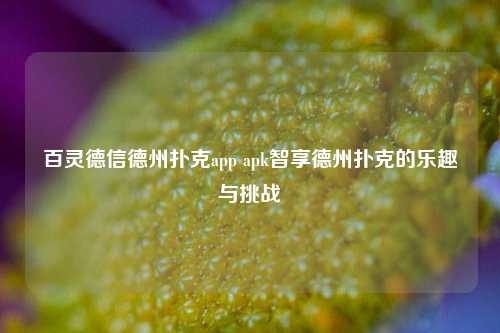 百灵德信德州扑克app apk智享德州扑克的乐趣与挑战