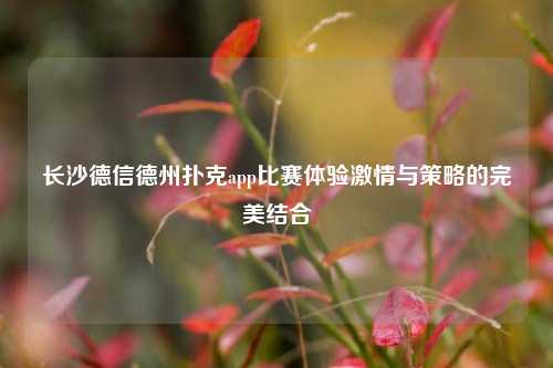长沙德信德州扑克app比赛体验激情与策略的完美结合