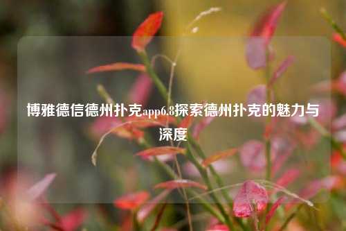 博雅德信德州扑克app6.8探索德州扑克的魅力与深度