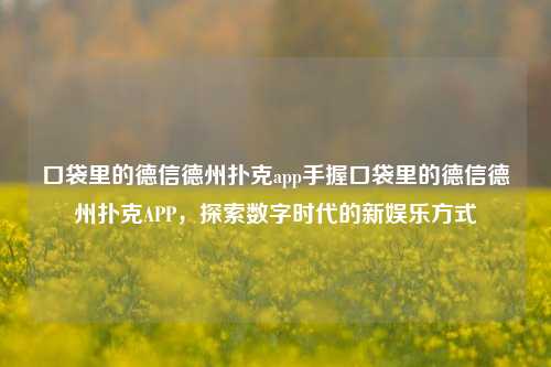 口袋里的德信德州扑克app手握口袋里的德信德州扑克APP，探索数字时代的新娱乐方式