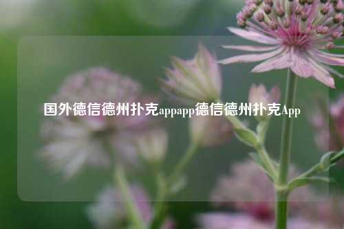 国外德信德州扑克appapp德信德州扑克App