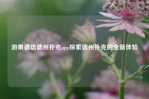 游果德信德州扑克app探索德州扑克的全新体验